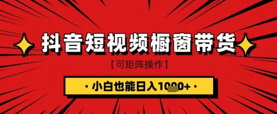 抖音短视频食品橱窗带货，小白轻松上手日入1k+【揭秘】-南友云赚