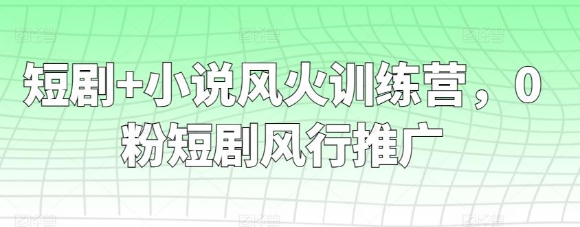 002e595d8287ea64e3b1579c6feaafc5.jpeg 短剧+小说风火训练营,0粉短剧风行推广