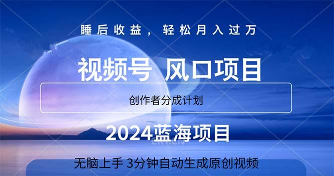 2024蓝海项目，3分钟自动生成视频，月入过万-南友云赚