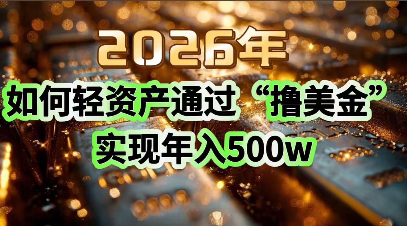2026年如何轻资产通过“撸美金”实现年入500w-南友云赚