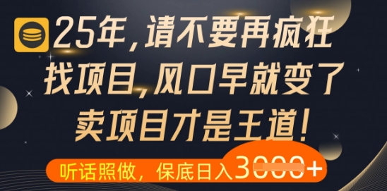 什么？25年你还在疯狂找项目做，醒醒吧，看完这些你全都懂了【揭秘】-南友云赚