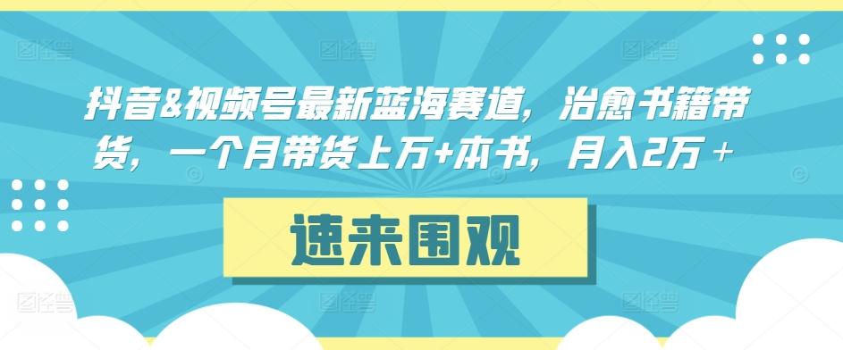抖音&视频号最新蓝海赛道，治愈书籍带货，一个月带货上万+本书，月入2万＋【揭秘】-南友云赚