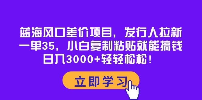 蓝海风口差价项目，发行人拉新，一单35，小白复制粘贴就能搞钱！日入30…-南友云赚