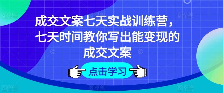 成交文案七天实战训练营，七天时间教你写出能变现的成交文案-南友云赚