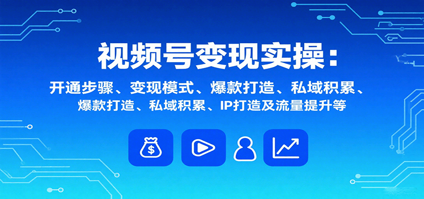 视频号变现实操，含开通步骤、变现模式、爆款打造、私域积累、IP打造及流量提升等-南友云赚