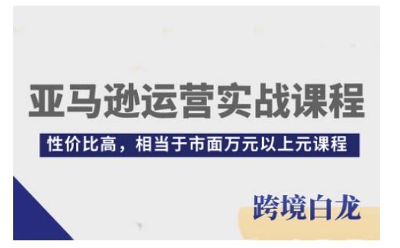 亚马逊运营实战课程，亚马逊从入门到精通，性价比高，相当于市面万元以上元课程-南友云赚