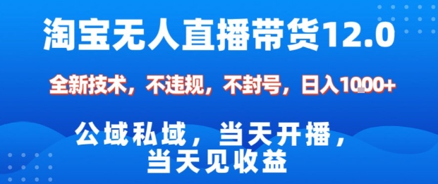 淘宝无人直播12.0，公域私域技术，不封号，不违规布局双十一流量风口，日入1k(独家技术)【揭秘】-南友云赚