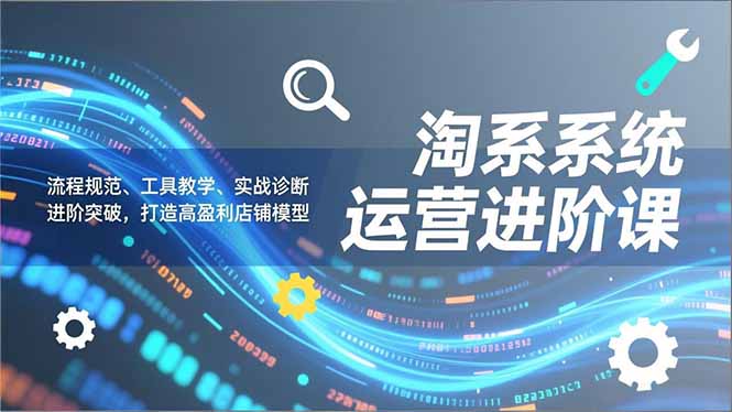 淘系系统运营进阶课2.0，流程规范、工具教学、实战诊断，进阶突破，打造高盈利店铺模型-南友云赚