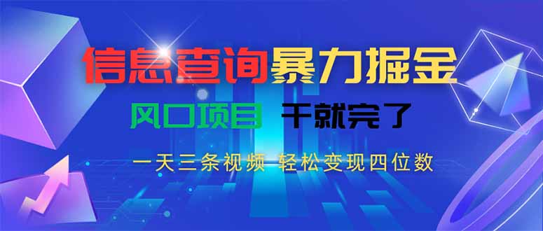 信息查询暴力掘金，一天三条视频 轻松变现四位数，风口项目干就完了-南友云赚