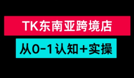 TikTok东南亚跨境从0-1认知实操课-南友云赚