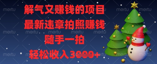 解气又挣钱的项目，最新违章拍照挣钱，随手一拍，轻松收入数张【揭秘】-南友云赚