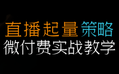 半野老师·直播带货起量与微付费必学课视频号-南友云赚