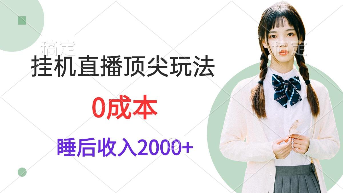 (9715期)挂机直播顶尖玩法，睡后日收入2000+、0成本，视频教学-南友云赚
