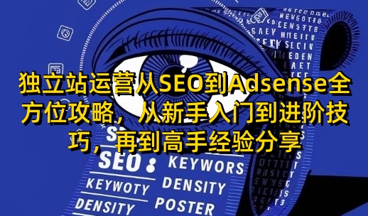 独立站运营从SEO到Adsense全方位攻略，从新手入门到进阶技巧，再到高手经验分享-南友云赚
