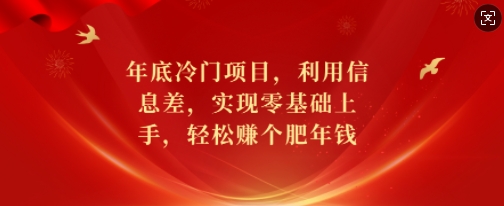 年底冷门项目，利用信息差，实现零基础上手，轻松赚个肥年钱【揭秘】-南友云赚
