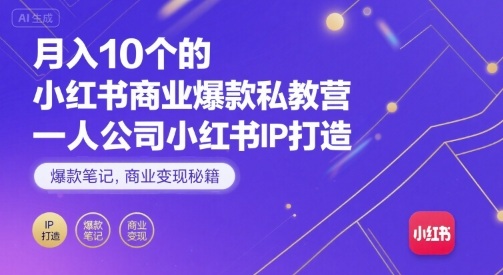 月入10个的小红书商业爆款私教营，一人公司小红书IP打造，爆款笔记，商业变现秘籍-南友云赚