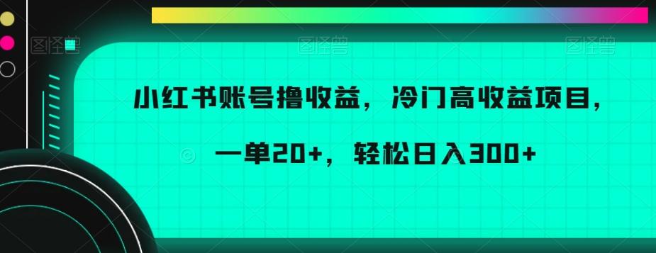 小红书账号撸收益，冷门高收益项目，一单20+，轻松日入300+【揭秘】-南友云赚