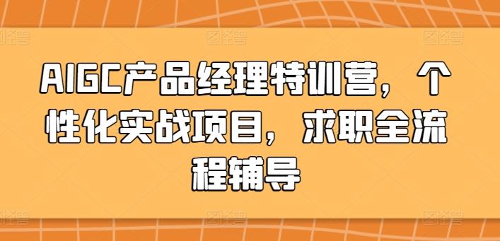 AIGC产品经理特训营，个性化实战项目，求职全流程辅导-南友云赚