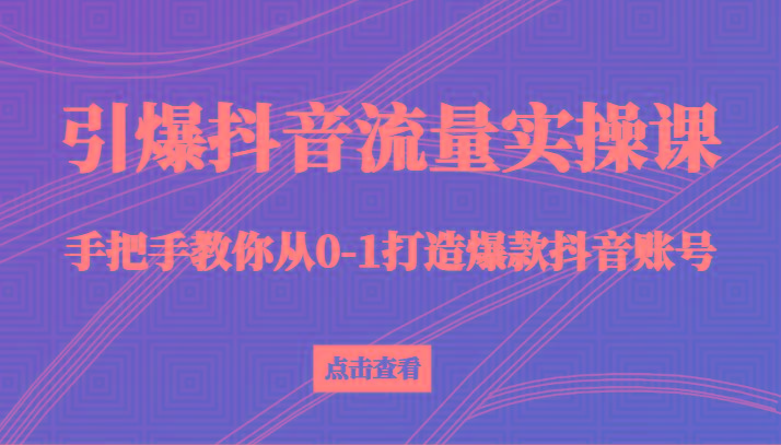 引爆抖音流量实操课，手把手教你从0-1打造爆款抖音账号(27节课)-南友云赚