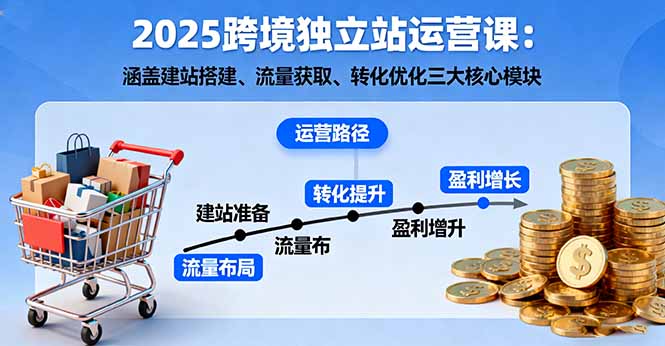 2025跨境独立站运营课：涵盖建站搭建、流量获取、转化优化三大核心模块-南友云赚