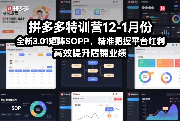 拼多多特训营12-1月份，全新3.01矩阵Sop，精准把握平台红利，高效提升店铺业绩-南友云赚