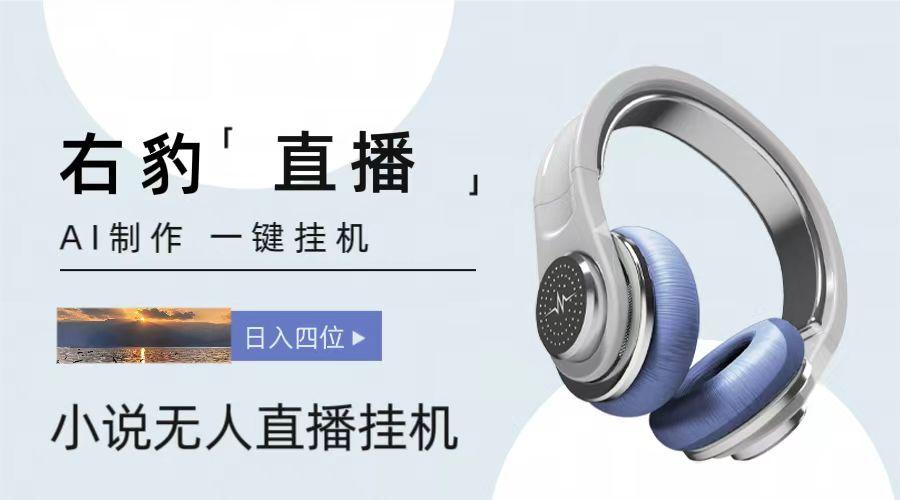 右豹小说无人直播挂机吸金项目,简单易行收益稳定, 月入1000+-南友云赚