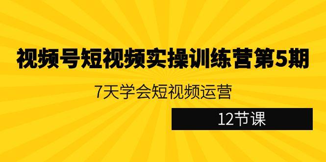 视频号短视频实操训练营第5期：7天学会短视频运营(12节课)-南友云赚