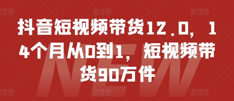抖音短视频带货12.0，14个月从0到1，短视频带货90万件-南友云赚