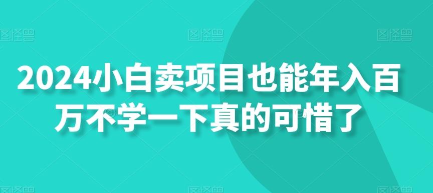 2024小白卖项目也能年入百万不学一下真的可惜了-南友云赚