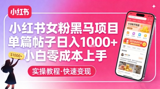 小红书女粉黑马项目，单篇帖子日入1k+，小白零成本上手-南友云赚
