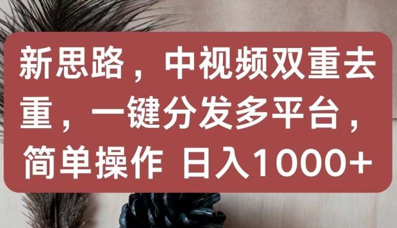 新思路，中视频双重去重，一键分发多平台，简单操作，日入1000+【揭秘】-南友云赚