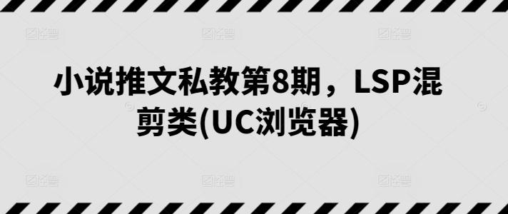 小说推文私教第8期，LSP混剪类(UC浏览器)-南友云赚