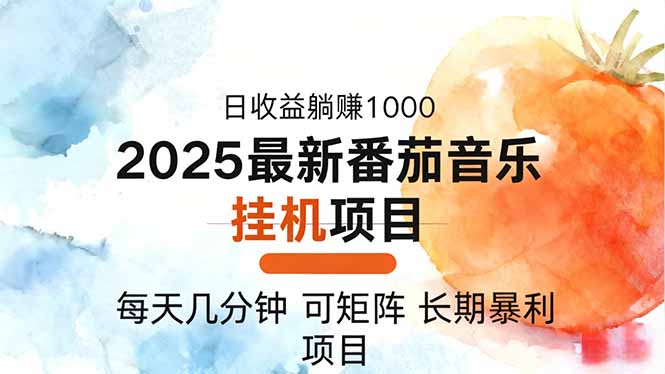 2025年最新番茄音乐人挂机项目，每天几分钟，月入1000＋，可矩阵，一台...-南友云赚