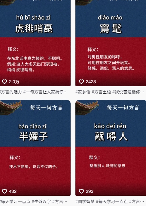 139bbf613a9999e1b058565b2df4e3bd.jpeg 抖音最新涨粉玩法,图文方言暴力涨粉实操,126作品涨粉11W