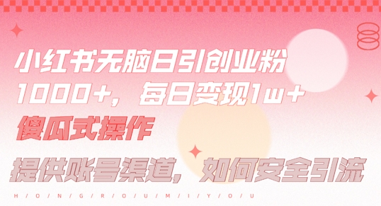 小红书无脑每日引流创业粉500+，小白每天只花半小时，躺赚长尾收益【揭秘】-南友云赚