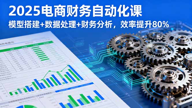 2025电商财务自动化课，模型搭建+数据处理+财务分析，效率提升80%-南友云赚