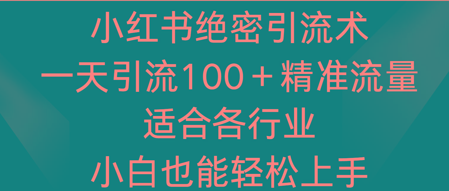 小红书绝密引流术，一天引流100＋精准流量，适合各个行业，小白也能轻松上手-南友云赚