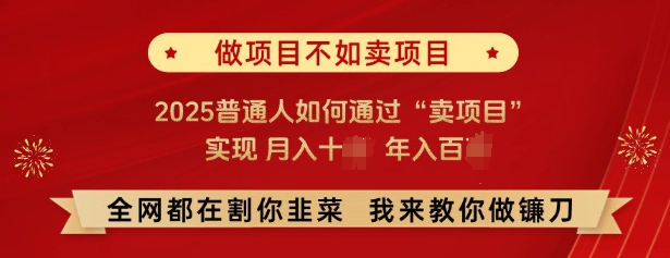 必看，做项目不如卖项目，2025普通人如何通过“卖项目”实现月入十个，年入百个-南友云赚