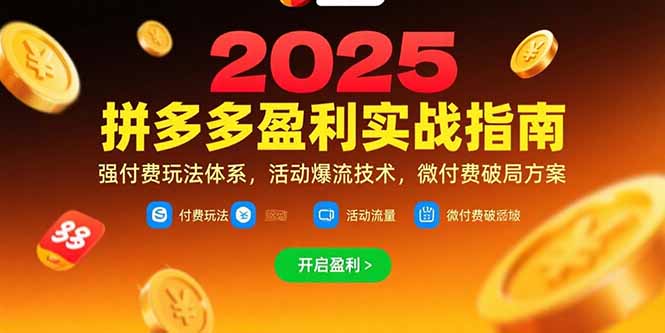拼多多盈利实战指南，强付费玩法，活动爆流技术，微付费破局方案(更新7月-南友云赚
