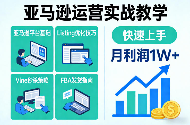 亚马逊运营实战教学，亚马逊平台+Listing优化+Vine秒杀+FBA发货等，快速上手，实现店铺月利润1W-南友云赚