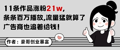 11条作品涨粉21W，条条百W播放，流量猛就算了，广告商也追着给钱-南友云赚