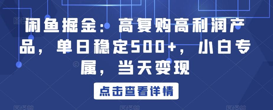 闲鱼掘金：高复购高利润产品，单日稳定500+，小白专属，当天变现-南友云赚