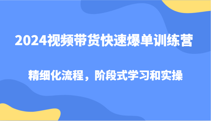 2024视频带货快速爆单训练营，精细化流程，阶段式学习和实操-南友云赚