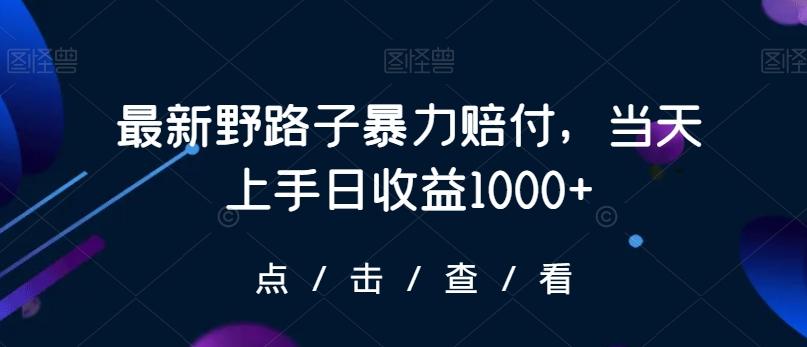 最新野路子暴力赔付，当天上手日收益1000+【仅揭秘】-南友云赚