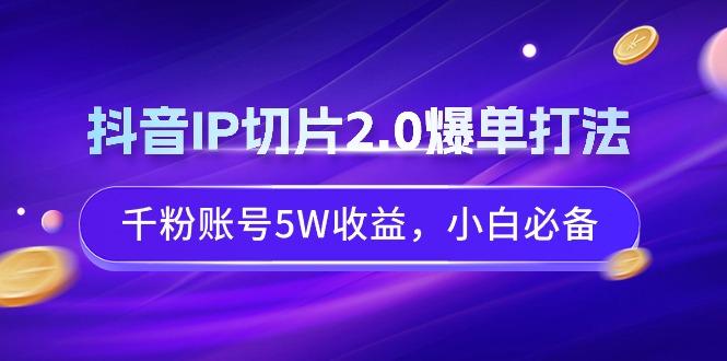 抖音IP切片2.0爆单打法，千粉账号5W收益，小白必备-南友云赚