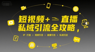 短视频+直播私域引流全攻略，IP打造 +视频引流 +直播引流 +私域沉淀-南友云赚