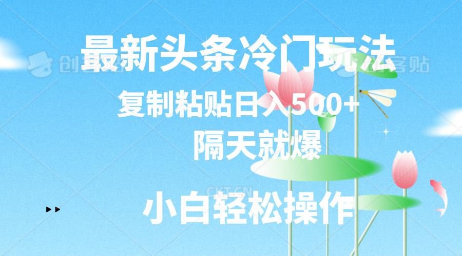 最新头条冷门玩法，隔天就爆，复制粘贴日入500+-南友云赚