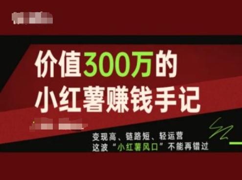 价值300万的小红书赚钱手记，变现高、链路短、轻运营，这波“小红薯风口”不能再错过-南友云赚