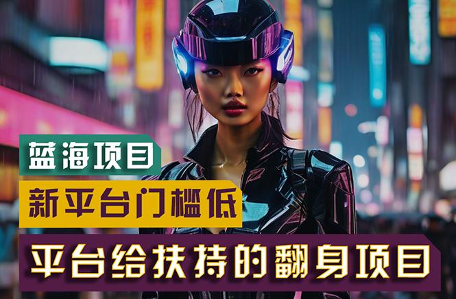 【蓝海项目】新平台无脑搬运，翻身项目 门槛低 小白也能轻松上手 日入500+-南友云赚