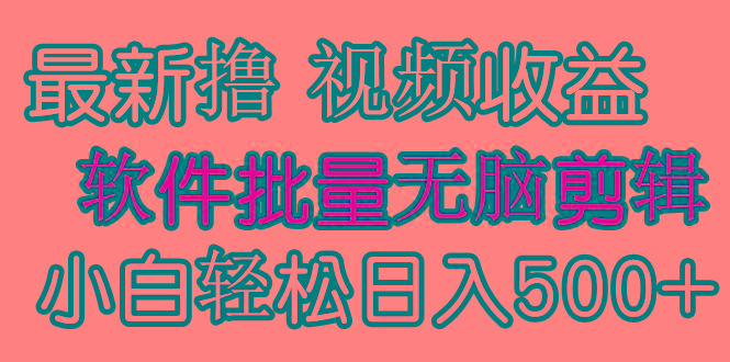 (9569期)发视频撸收益，软件无脑批量剪辑，第一天发第二天就有钱-南友云赚